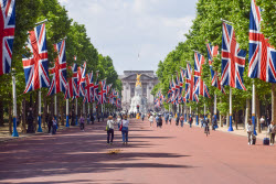 Trooping The Colour Preparations