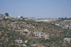 Israel Palestinians