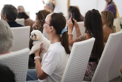 France Cannes 2025 Palm Dog