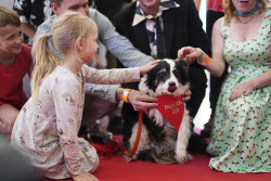 France Cannes 2025 Palm Dog
