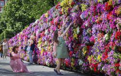 'Summer in Moscow: Gardens and Flowers' Festival