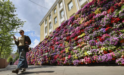 'Summer in Moscow: Gardens and Flowers' Festival