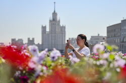 'Summer in Moscow: Gardens and Flowers' Festival