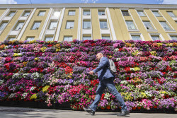 'Summer in Moscow: Gardens and Flowers' Festival