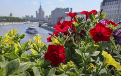 'Summer in Moscow: Gardens and Flowers' Festival