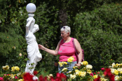 Rosery in Sochi's Riviera Park