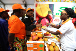7th International Exhibition of Agriculture and Animal Resources (SARA) in Abidjan