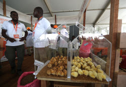 7th International Exhibition of Agriculture and Animal Resources (SARA) in Abidjan