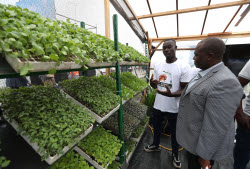 7th International Exhibition of Agriculture and Animal Resources (SARA) in Abidjan