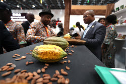 7th International Exhibition of Agriculture and Animal Resources (SARA) in Abidjan