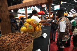 7th International Exhibition of Agriculture and Animal Resources (SARA) in Abidjan