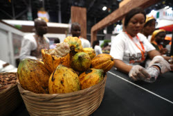 7th International Exhibition of Agriculture and Animal Resources (SARA) in Abidjan