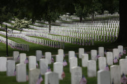 US Flags At Arlington National Cemetery In Arlington In Washington, District Of Columbia, USA, Washington Dc, Virginia. - 23 May 2025