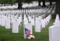 US Flags At Arlington National Cemetery In Arlington In Washington, District Of Columbia, USA, Washington Dc, Virginia. - 23 May 2025