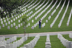 US Flags At Arlington National Cemetery In Arlington In Washington, District Of Columbia, USA, Washington Dc, Virginia. - 23 May 2025
