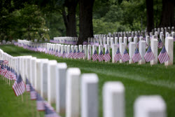 US Flags At Arlington National Cemetery In Arlington In Washington, District Of Columbia, USA, Washington Dc, Virginia. - 23 May 2025