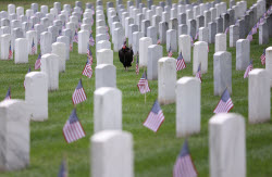 US Flags At Arlington National Cemetery In Arlington In Washington, District Of Columbia, USA, Washington Dc, Virginia. - 23 May 2025