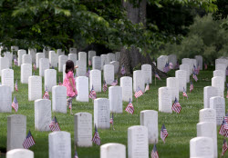 US Flags At Arlington National Cemetery In Arlington In Washington, District Of Columbia, USA, Washington Dc, Virginia. - 23 May 2025