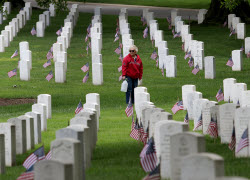 US Flags At Arlington National Cemetery In Arlington In Washington, District Of Columbia, USA, Washington Dc, Virginia. - 23 May 2025