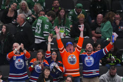 Oilers Stars Hockey