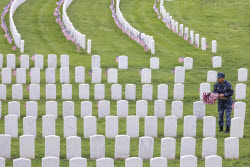 Flags placed on military veteran graves for Memorial Day in Brooklyn