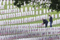 Flags placed on military veteran graves for Memorial Day in Brooklyn
