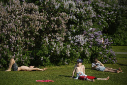 Russia Daily Life
