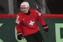 Sweden Hockey Worlds