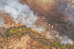 Wildfires in Transbaikal Region, Russia
