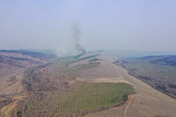 Wildfires in Transbaikal Region, Russia