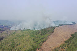 Wildfires in Transbaikal Region, Russia