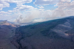 Wildfires in Transbaikal Region, Russia