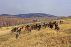Wildfires in Transbaikal Region, Russia