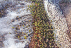 Wildfires in Transbaikal Region, Russia