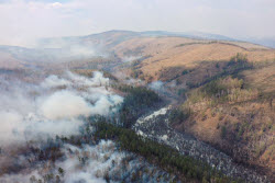 Wildfires in Transbaikal Region, Russia