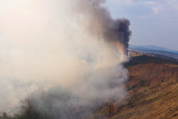 Wildfires in Transbaikal Region, Russia