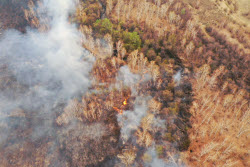 Wildfires in Transbaikal Region, Russia