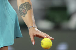 French Open Tennis
