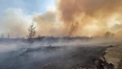 VIDEO. Wildfires in Transbaikal Region, Russia