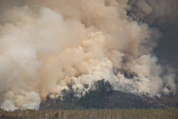 Wildfires in Transbaikal Region, Russia