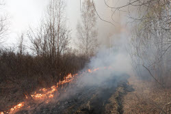 Wildfires in Transbaikal Region, Russia