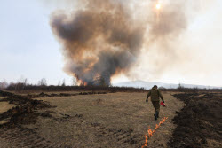 Wildfires in Transbaikal Region, Russia