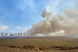 Wildfires in Transbaikal Region, Russia