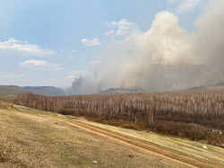 Wildfires in Transbaikal Region, Russia