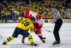 Sport News - May 25, 2025