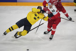 Sweden Hockey Worlds