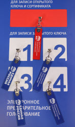 United Russia Party holds electronic primaries