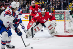 Sport News - May 25, 2025