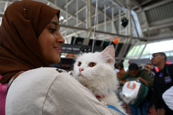 The Feline Club Of India Organises Cat Expo India 2025 In Mumbai