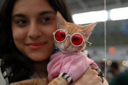 The Feline Club Of India Organises Cat Expo India 2025 In Mumbai